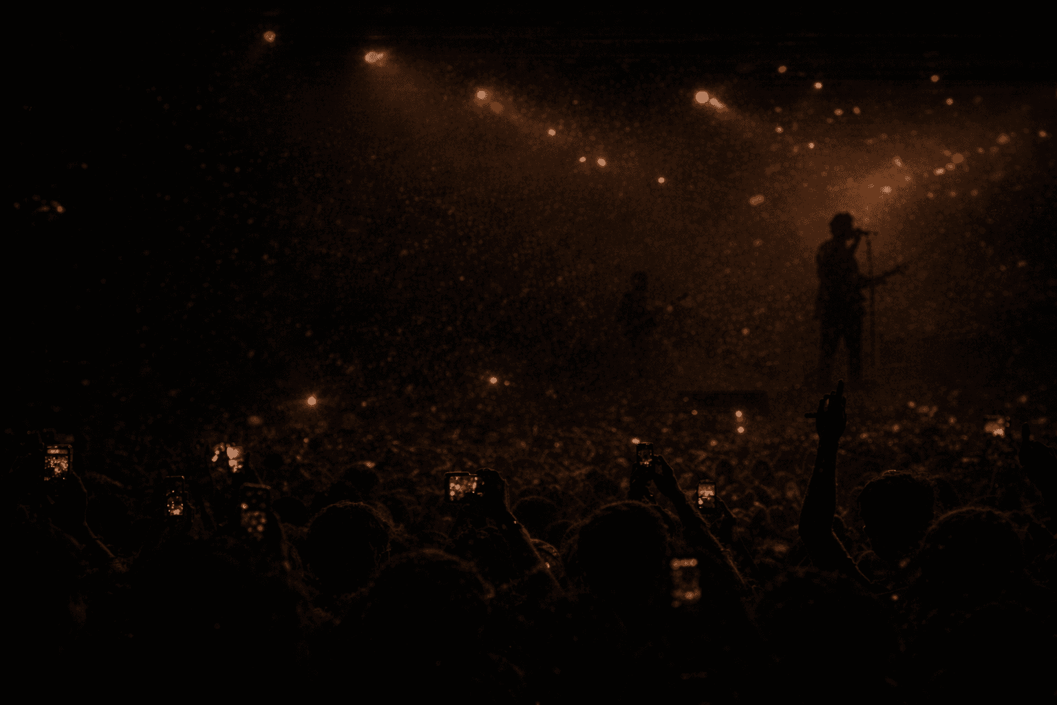 Concert crowd and artist performance